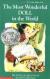 The Most Wonderful Doll in the World (Blue Ribbon Book)