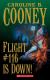 Flight #116 Is Down! (Point)