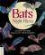 Bats Night Fliers