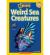 Weird Sea Creatures
