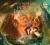 The Sea of Monsters (Percy Jackson and the Olympians, Book 2)