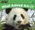 What Animal Am I?