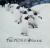 The Penguin Book Birds in Suits