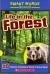 Life in the Forest