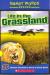 Life in the Grassland