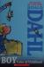 Boy Tales of Childhood
