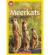 Meerkats