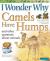 I Wonder Why Camels Have Humps And Other Questions About Animals