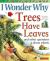 I Wonder Why Trees Have Leaves And Other Questions About Plants
