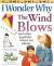 I Wonder Why the Wind Blows: And Other Questions About Our Planet