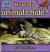 How Do Animals Hide?