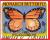 Monarch Butterfly