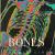 Bones