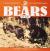 Bears for Kids (Cocoa Table)