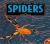 Outside and Inside Spiders