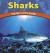 Sharks: Hunters of the Deep (The Wild World of Animals)