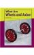 What Are Wheels and Axles? (Looking at Simple Machines)