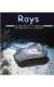 Rays (Ocean Life)