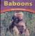 Baboons Life in the Troop