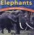 Elephants Trunks and Tusks