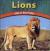 Lions Life in the Pride