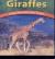 Giraffes Long-Necked Leaf-Eaters