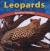 Leopards Spotted Hunters