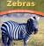 Zebras Striped Grass-Grazers