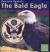 The Bald Eagle