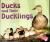 Ducks and Their Ducklings