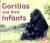 Gorillas and Their Infants