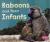 Baboons and Their Infants