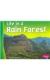 Life in a Rain Forest (Living in a Biome)