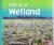Life in a Wetland (Living in a Biome)