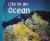 Library Book: Life In an Ocean (Rise and Shine)