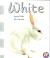 White Seeing White All Around Us