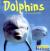 Dolphins