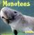 Manatees