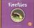 Fireflies