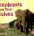 Elephants and Their Calves