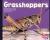 Grasshoppers