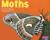 Moths