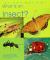what-is-an-insect-