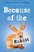 Because of the Rabbit
