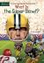 What is the Super Bowl?