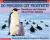 Do Penguins Get Frostbite? Questions and Answers about Polar Animals