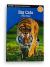 Big Cats of the World