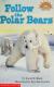Follow the Polar Bears