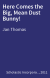 Here Comes the Big, Mean Dust Bunny!