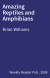 Amazing Reptiles and Amphibians
